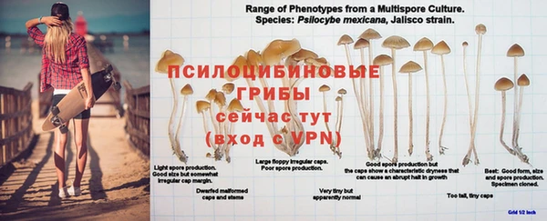 трава Балахна